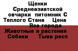 Щенки Среднеазиатской овчарки (питомник С Теплого Стана) › Цена ­ 20 000 - Все города Животные и растения » Собаки   . Тыва респ.